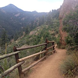 mastering downhill running