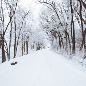 running in the cold